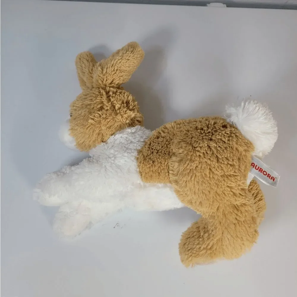 Aurora Miyoni tan dutch‎ Rabbit 12